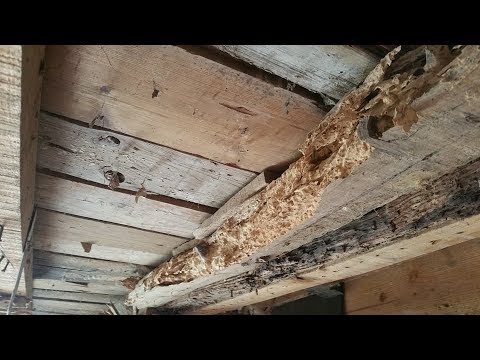 Видео: Ремонт аварийных перекрытий методом протезирования существующих балок.Brigada1--