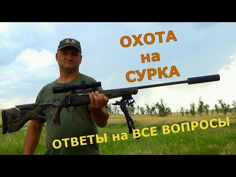 Видео: Охота на сурка от А до Я. Все что надо знать!!! Выбор оружия, прицела и патрона. Возможные ошибки,