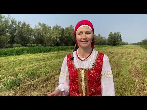 Видео: фильм Новолетие 1 часть