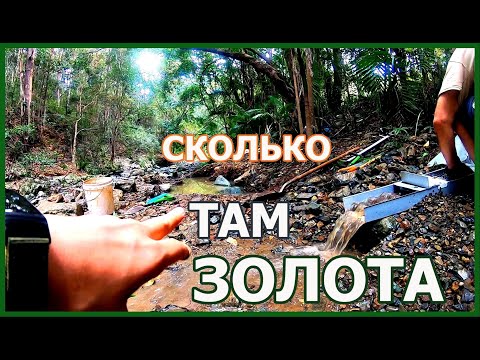 Видео: ЗОЛОТО ЗА ОДИН ДЕНЬ 😱  // 🤑 СТОЛЬКО МЫ ЕЩЕ НЕ НАХОДИЛИ 🤩 !!! //ДОБЫЧА ЗОЛОТА В АВСТРАЛИИ //