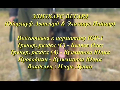 Видео: Вегард.  Тренинг с Олегом.  Август.