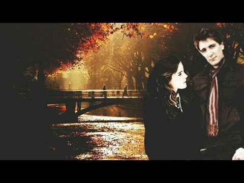 Видео: "Гарри Поттер" "Harry Potter" Фред Джордж Гермиона "Ничего нет сильнее любви"