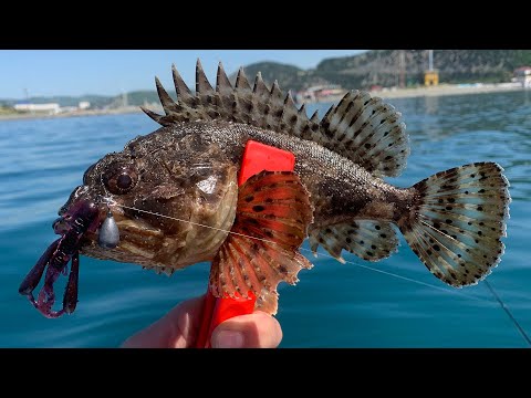 Видео: Рыбалка на ЧЕРНОМ Море. Большой Утриш, Весна 2021!!!
