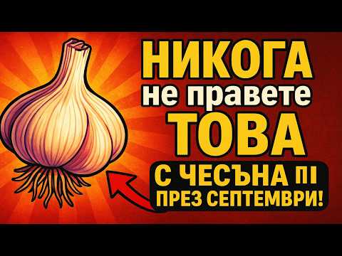Видео: НИКОГА не правете това с чесъна през септември! Основна грешка при засаждане, която ще ви остави бе