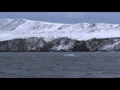 Видео: Под водой с Кириллом Ивановым - 507 - Карское Море. Новая Земля.