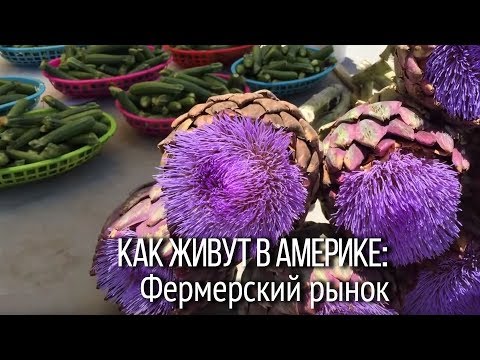 Видео: Как живут в Америке? Лос-Анджелес: фермерский рынок. В Америке не принято торговаться.