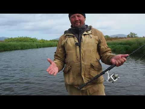 Видео: Лососи забирают спиннинги и приманки. Ловля Кижуча.
