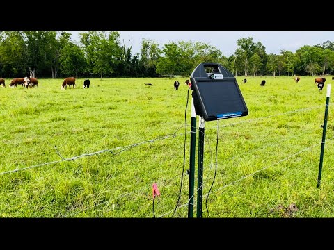 Видео: Простое электрическое ограждение на солнечных батареях для скота