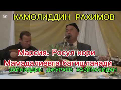 Видео: 7 ноября 2025 г.