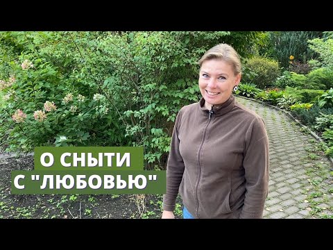 Видео: Как я борюсь со снытью, простой и возможно многим известный, способ