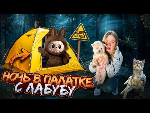 Видео: НОЧЬ В ПАЛАТКЕ С ЛАБУБУ | КОШАЧЬЯ ИСТОРИЯ УЖАСОВ