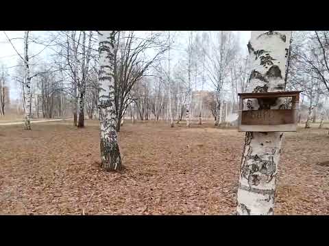 Видео: Машину разбила. 