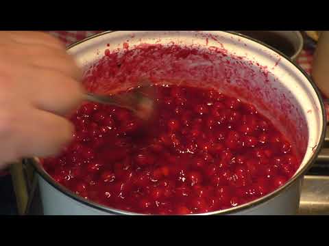 Видео: приготовление желе из калины в домашних условиях