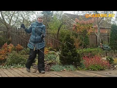 Видео: Опора для штамбовой гортензии от QGARDEN Установка в нашем саду