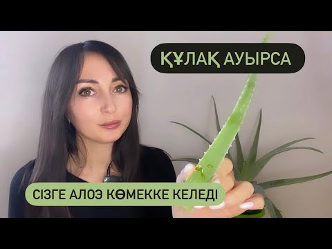 Видео: Алоэ Вера гүлінің пайдасы