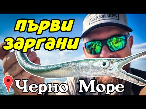 Видео: ЗАРГАНА ТРЪГНА НА ЧЕРНО МОРЕ! Риболов на ЗАРГАН С ДЖИГ.