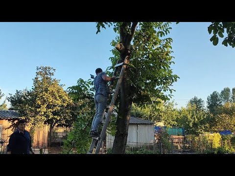 Видео: ТРЕТіЙ ДЕНЬ НА ГОРіХАХ