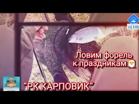 Видео: Рыбалка на форель. Ставропольский край. Рыболовный комплекс Карповик. Подготовка к Новому году 🎅