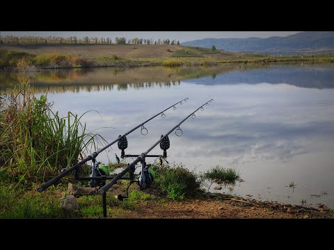 Видео: Осенняя рыбалка на карпа🎣 Активный клёв на флэт кормушки #карась #carp #flat #рыбалка #fishing #карп