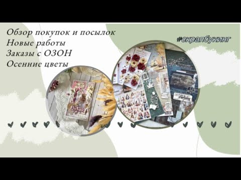 Видео: Обзор покупок 🛒 Новые работы. Заказы с ОЗОН. Осенние цветы🌹🍁 #скрапбукинг