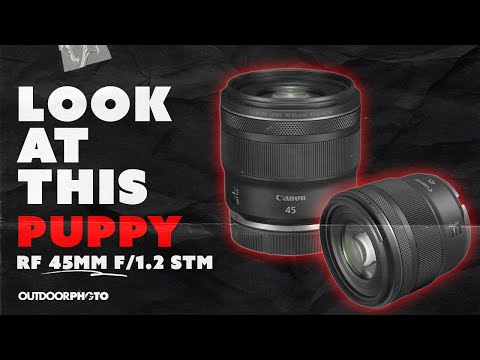 Видео: НОВЫЙ объектив Canon RF 45mm STM (при участии щенка)