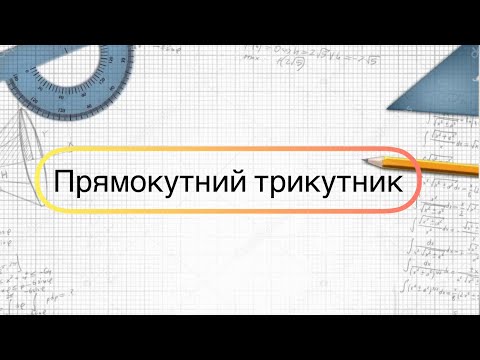 Видео: Геометрія 7 клас. №17. Прямокутний трикутник