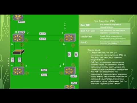 Видео: CCIE за год. Основы STP