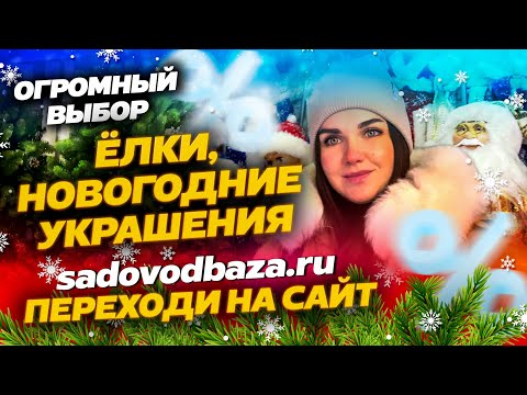 Видео: ЁЛКИ И НОВОГОДНИЕ ИГРУШКИ💖ОГРОМНЫЙ ВЫБОР💥9-122 Купить Садовод Москва