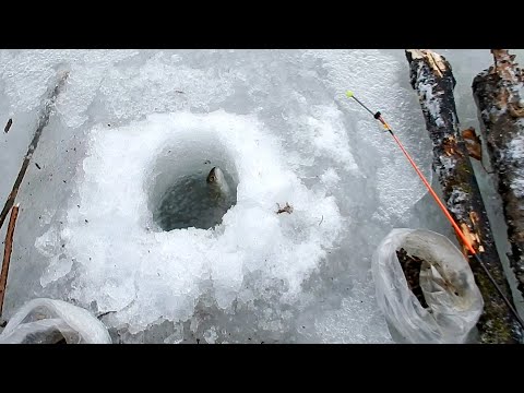 Видео: Рыбалка в Приморье. Река Журавлёвка. Лёд. Хариус, ленок. 28.11 - 07.12.2018 г.