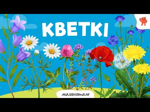 Видео: КВЕТКІ | Бэйбус_малянятам