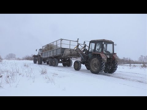 Видео: В Колхозе 5 серия. ТТР 401 на транспортировке кормов