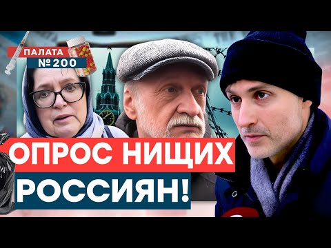 Видео: Ахаха! Это шок! Кто виноват в бедности россиян? Почему армия РФ бессильна? | Палата №200