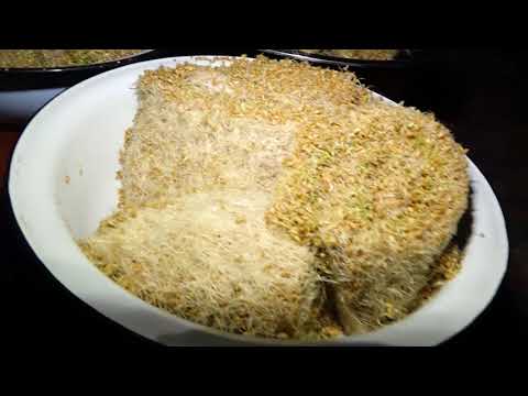 Видео: Сүмөлөктүн жасалышы "7 канал"