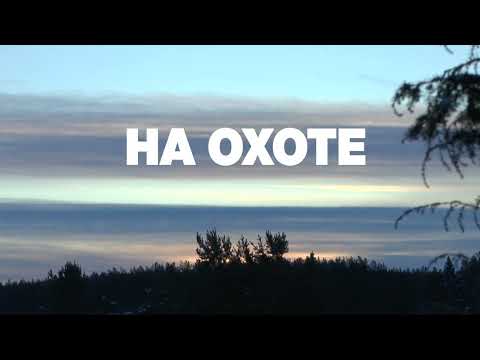 Видео: На охоте