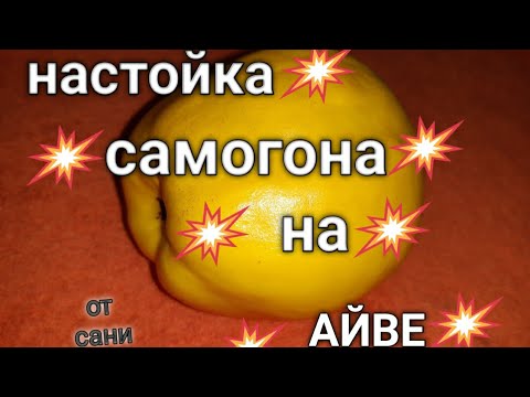 Видео: ✅НАСТОЙКА НА СВЕЖЕЙ АЙВЕ | ОДНА ИЗ ВКУСНЕЙШИХ НАСТОЕК