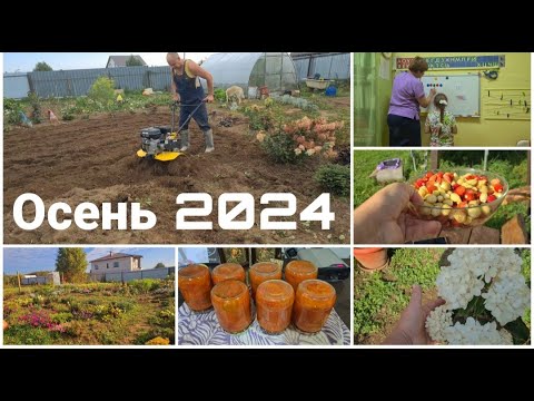 Видео: Делаю вкусное Лечо. Глобальная пересадка цветника. Подстава с окном. С Настей у логопеда