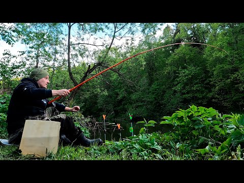Видео: На эти удочки не ловили 20 лет - бамбуковые удилища в деле. 4К