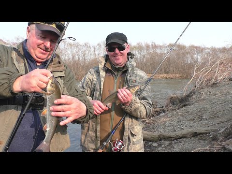 Видео: КРАСНОПЁРКА КЛЮЁТ ОДНА ЗА ОДНОЙ!!! ЛОВИМ НА ПОРОЛОН!!!