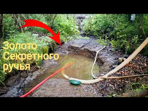 Видео: Золото секретного ручья