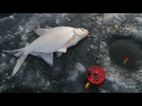 Видео: Підібрав проводку  для чортіка і наловив Лящів.Рибалка в Хотомлі