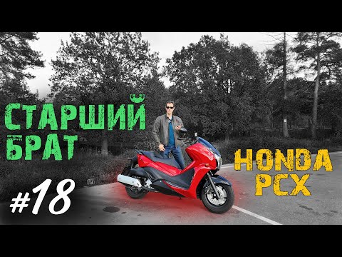 Видео: Хроники Психа #18. Дуэль Honda Faze с Honda PCX. Нужны ли вам 250 кубов? | Мотобудни |