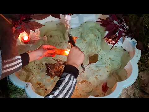 Видео: ОТЖИГ И ЧИСТКА ОТ ЛЮБОВНЫХ ТРЕУГОЛЬНИКОВ, ВРЕДОНОСНОЙ МАГИИ, РАЗБИТОГО СЕРДЦА!!!💔❤️‍🩹❤️‍🔥