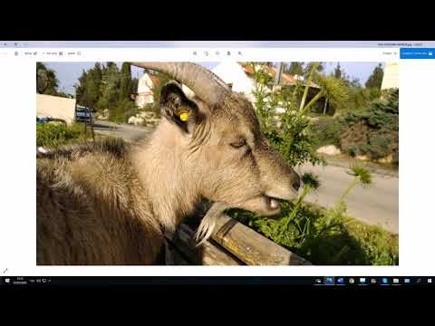 Видео: 1096. Звук Т в словах несемитского происхождения. Слова иностранного происхождения в иврите