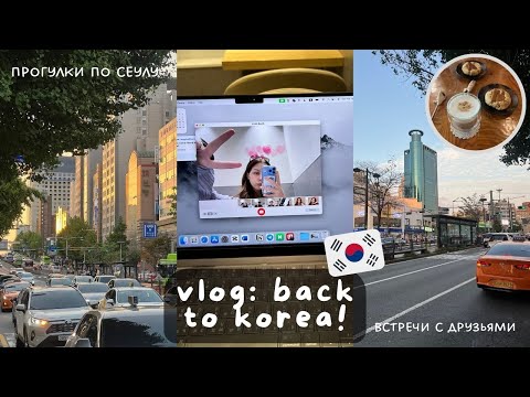 Видео: влог: возвращение в корею! прогулки по Сеулу, встречи с друзьями