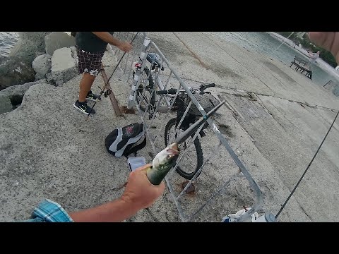 Видео: Несебърски лефери!