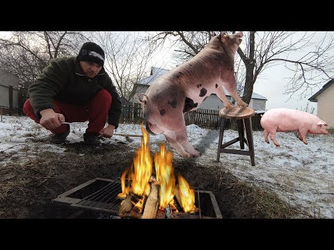 Видео: Приготовление на костре СВИННОГО ХВОСТА и сразу же его кушаем  (полный цикл приготовления)