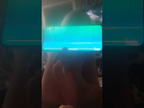 Видео: 18 сентября 2025 г.
