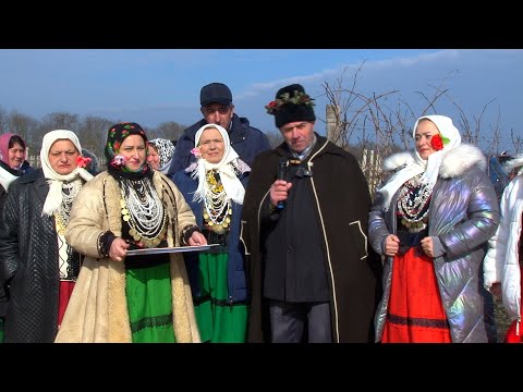 Видео: Зарязване на лозето на празник Свети Трифон Зарезан г Твардица  2025г