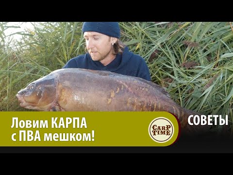 Видео: Как ЛОВИТЬ КАРПА с ПВА пакетами? Карпфишинг с Марком Питчерсом! СОВЕТЫ