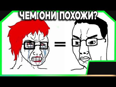 Видео: инцелы = феменистки